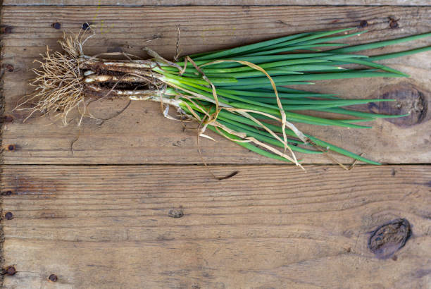 istock Organic fresh vegetables on rustic wood background 1222323823