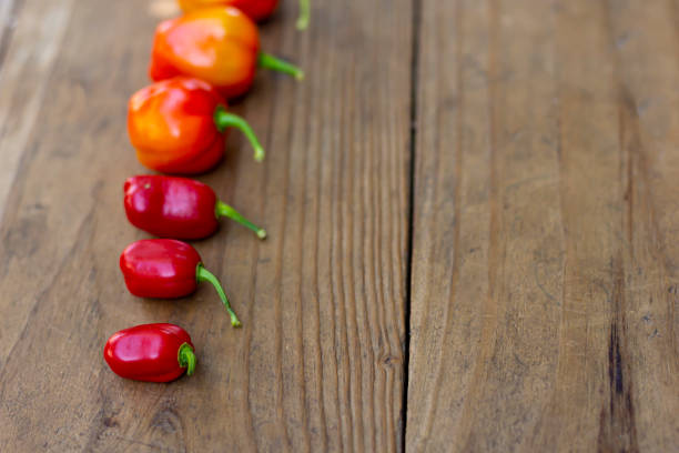 istock Organic fresh vegetables on rustic wood background 1222323862