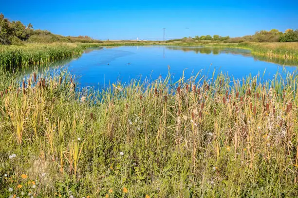 Donna L. Birkmaier Park is located in the Briarwood neighborhood of Saskatoon.