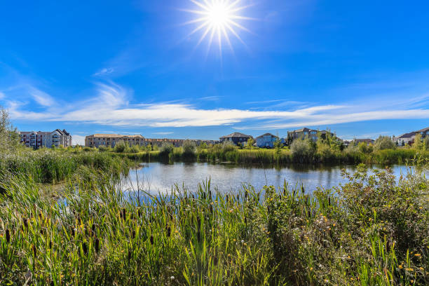 istock Donna L. Birkmaier Park 1222328922