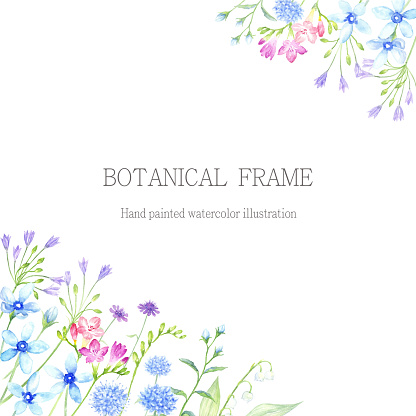 Watercolor illustration of flower frame.