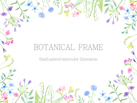 Watercolor illustration of flower frame.