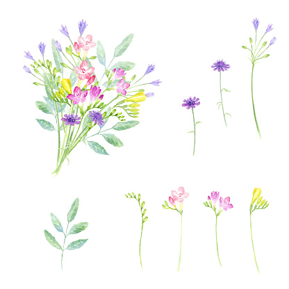 Watercolor illustration of flower set.