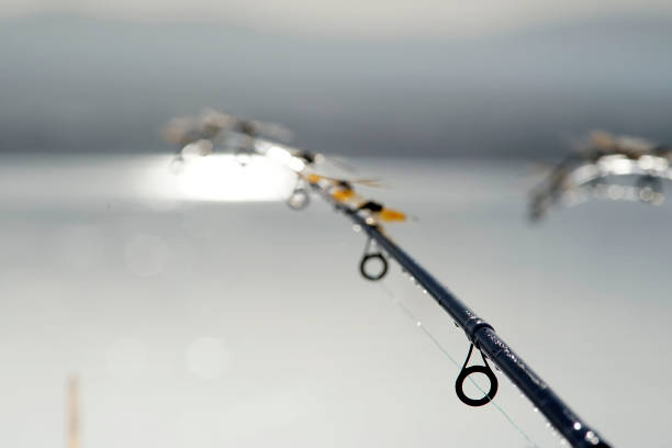 istock Morning fishing 1222331558