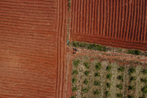 istock Aerial view ; Rows of soil before planting 1222331583