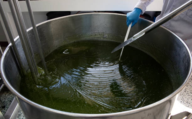 istock Gel in homogenizer tank 1222331600