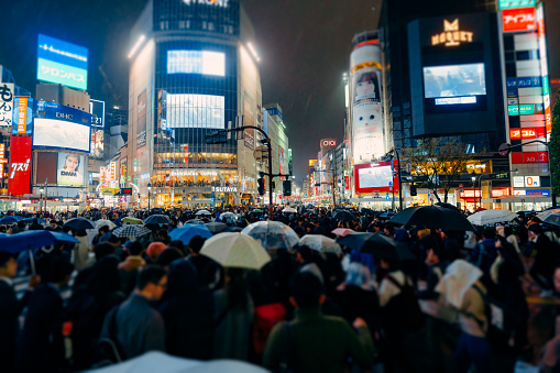 Tokyo - Japan, Japan, Shinjuku Ward, Night, Rain, Shibuya Crossing