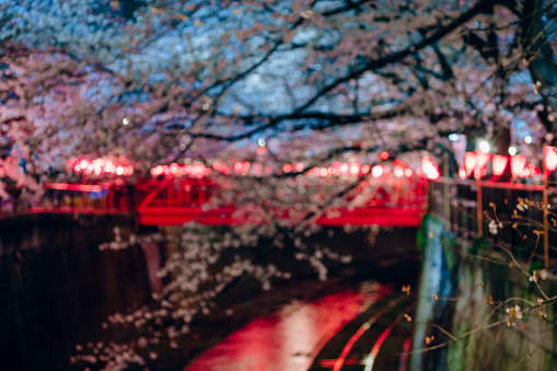 Tokyo - Japan, Japan, Meguro Ward, Asia, Cherry Blossom