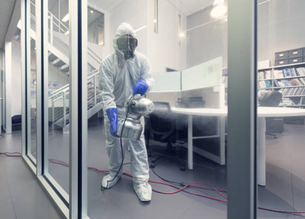 istock Cleaning and disinfecting a modern office 1222335118
