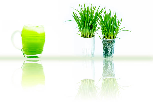 Pots containing lemon grass along with their extracted juice in a glass isolated on white with reflection also.