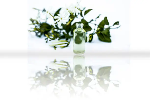 Juhi or Jasminum Auriculatum or Indian jasmine flowers isolated on white with its essential extracted concentration or oil in a small glass bottle with reflection also.