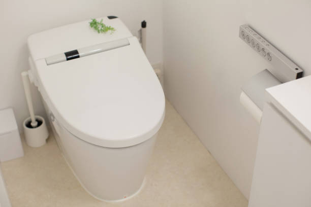 洗濯クローゼットの白いきれいなトイレ - お手洗い ストックフォトと画像