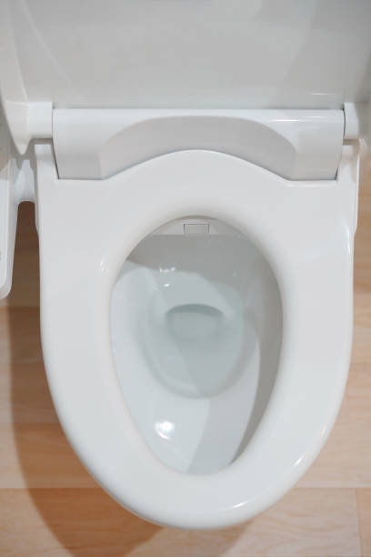 istock white clean toilet in washing closet 1222340399