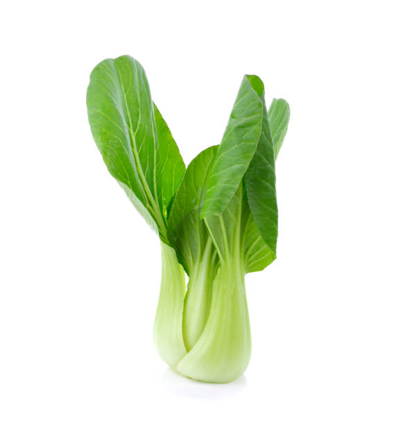 bok choy vegetal aislado en el blanco - bok choy fotografías e imágenes de stock