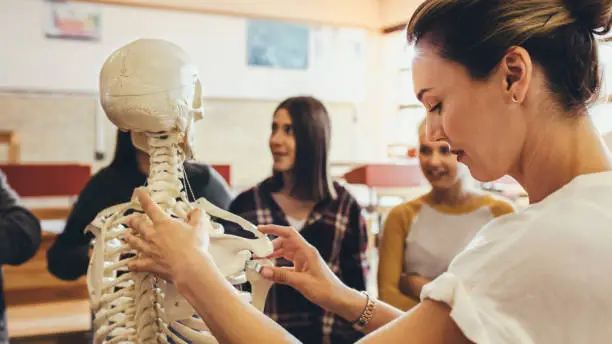 Students and professor with skeleton in classroom at high school. Female  professor uses a model of the human skeletal system during a biology lecture.