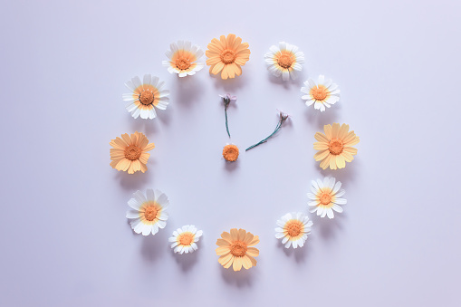 Flower clock made of white and yellow daisies on a light background. Time concept, waiting for spring.