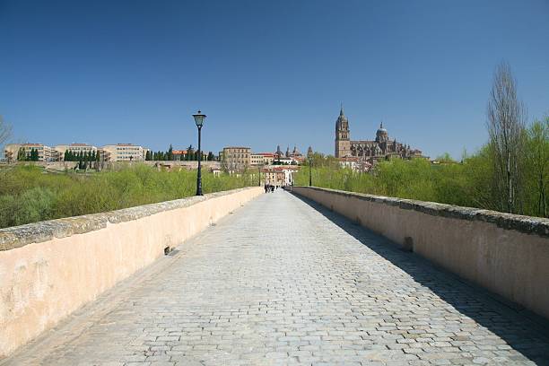 istock bridge to Salamanca city 122235327