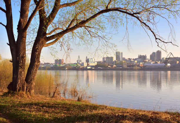 istock Tree on the river Bank in Novosibirsk 1222354374