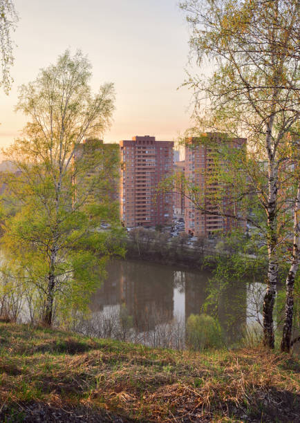 Birches with fresh spring foliage on the high Bank of a small river, high multi-storey red houses in the distance, Golden sky, without people. Novosibirsk, Siberia, Russia, 2020