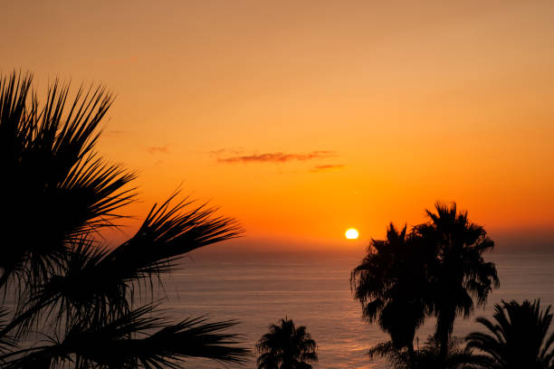 istock sunset sky over ocean water with palm trees - 1222355462