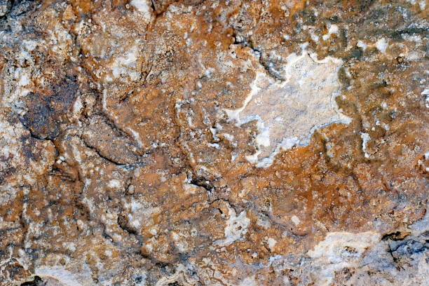 istock The surface of natural stone. Texture. 1222358584