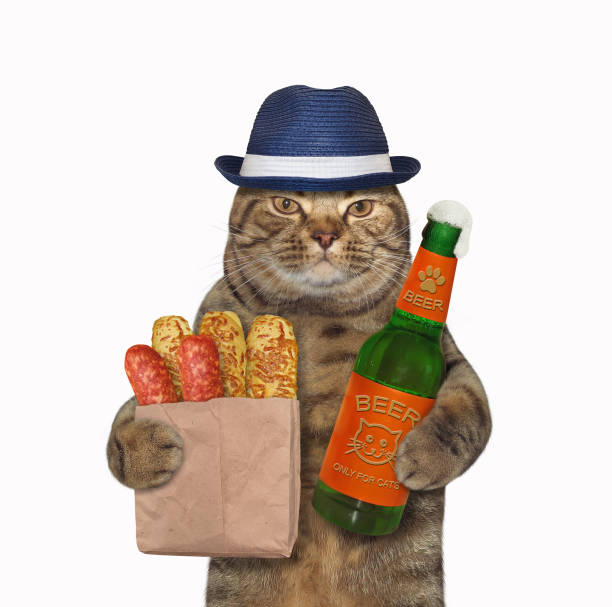 istock Cat likes beer with sausage 1222360556