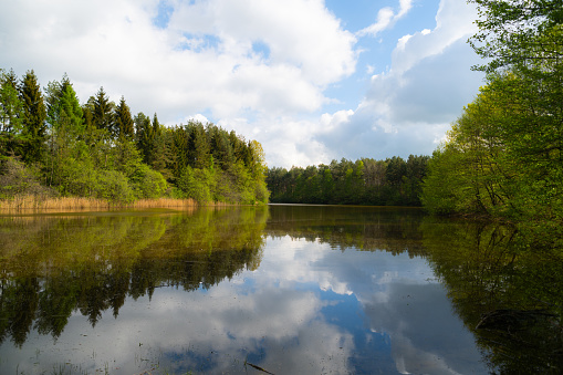 a  wonderful shot of a pond in which many trees are reflected with a cloudy background