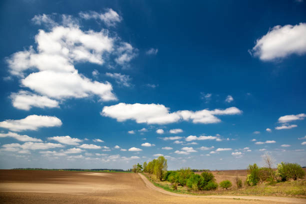 istock Beautiful spring field in the village on a sunny day with clouds. 1222363672