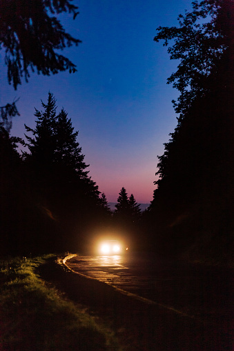 A twilight sunset forest road image as a car comes driving up the lane with it's headlights on bright. Shot in Oregon in the Pacific Northwest in a tree area