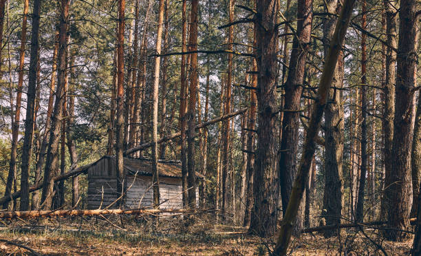 istock Abandoned hunting lodge in the autumn forest 1222371277