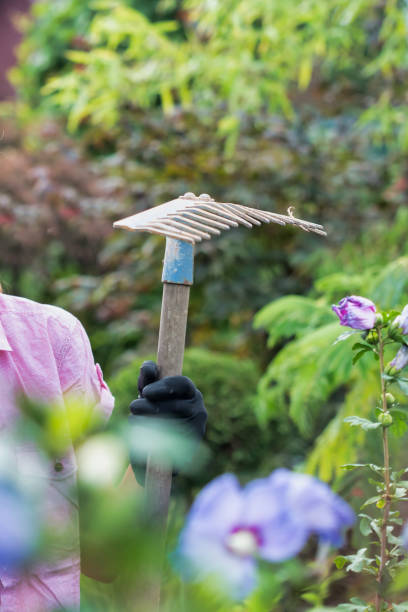 istock Portrait of gardener holding fork rake 1222372034