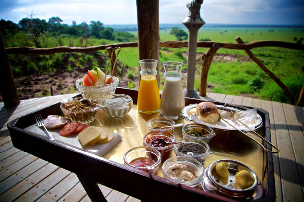 morning-bush-breakfast-in-the-