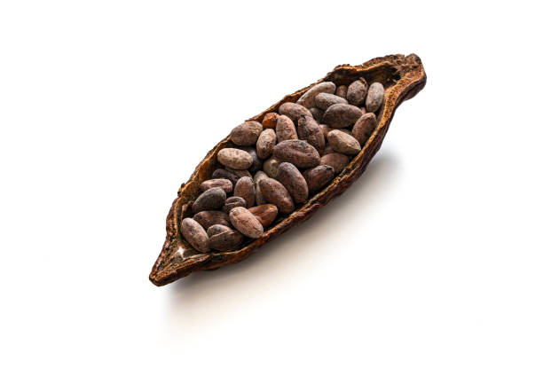 Cocoa pod with cocoa beans cacao for chocolate isolated on white background