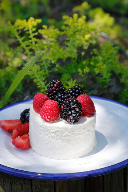 istock forest fruit cream dessert, picnic time 1222375848