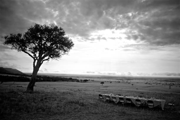 Kenya, Africa - March 10, 2023: Group of tourists enjoy a bush champange breakfast in the Masaai Mara after a hot air balloon ride