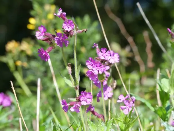 This photo was taken in Chorleywood, Hertfordshire, England, UK