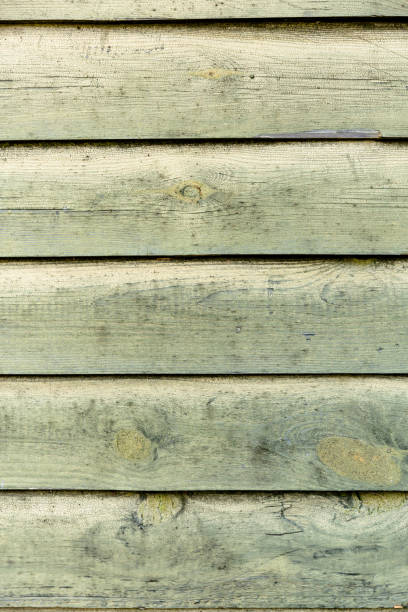 istock Old worn green painted wooden background. 1222378586