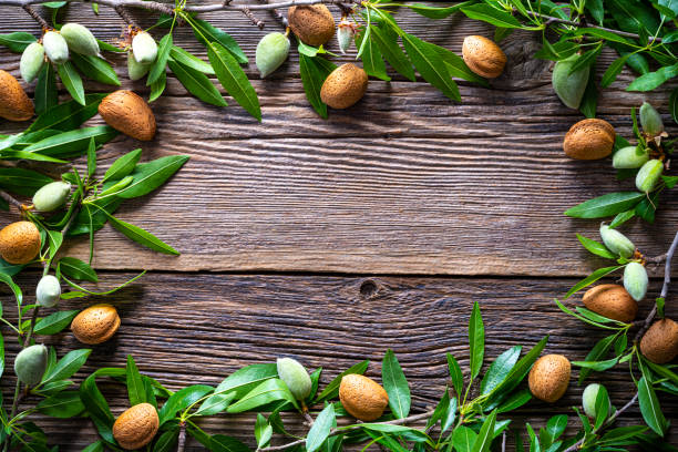 istock Almonds frame copy space almond fruits tree branch on wood 1222378883