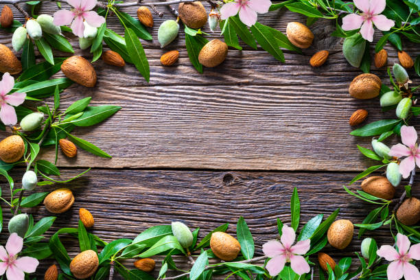 istock Almonds frame copy space almond fruits tree branch on wood 1222378918