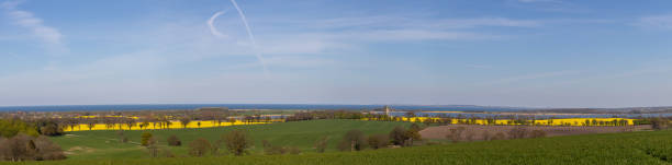 istock Some rapeseed on the Great Inland Lake 1222379937