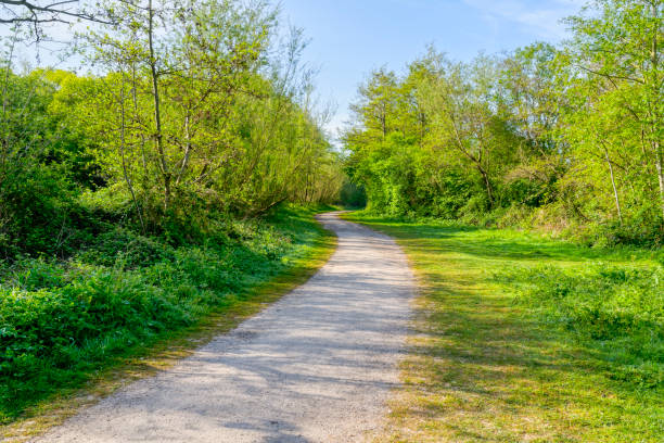 istock Gently winding footpath through the trees on a bright spring morning 1222380121