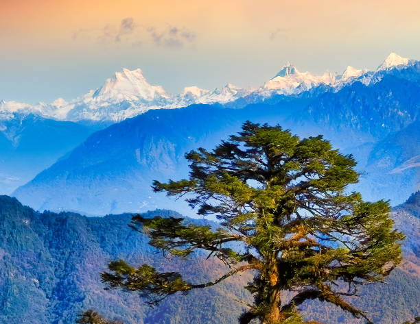 Gangkhar Puensum, the highest peak of Bhutan at dawn Gangkhar Puensum, the highest peak of Bhutan during dawn lama religious occupation stock pictures, royalty-free photos & images