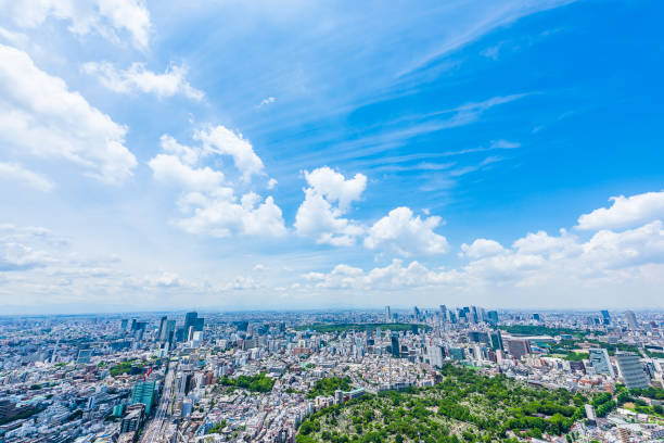 horizonte de la ciudad de tokio, japón. - tokyo prefecture skyline japan panoramic fotografías e imágenes de stock