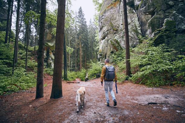 istock Man with dog in forest 1222381070