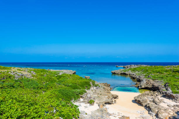 istock Beautiful beach in Okinawa. 1222382604