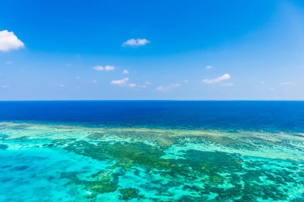 istock Beautiful beach in Okinawa. 1222382839