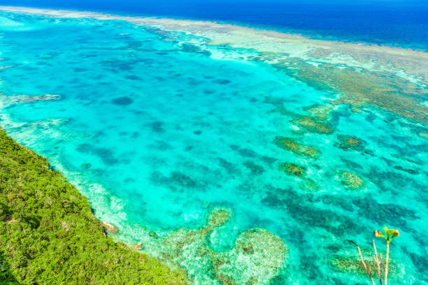 istock Beautiful beach in Okinawa. 1222383046