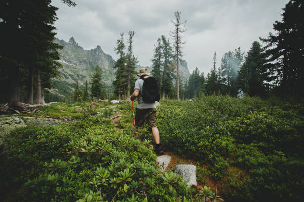 Man hiking in mountains with backpack in wildlife nature
