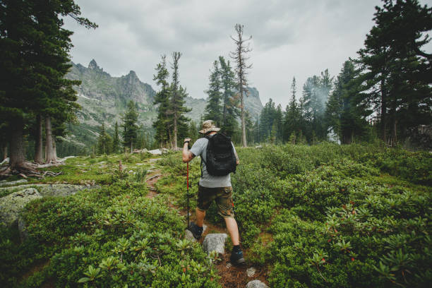istock Man hiking in mountains with backpack in wildlife nature 1222386436