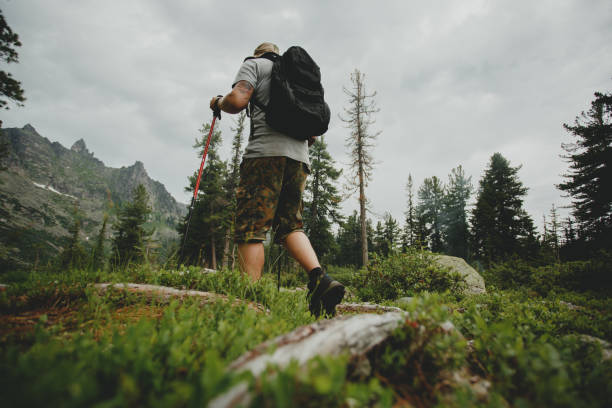 istock Man hiking in mountains with backpack in wildlife nature 1222386463